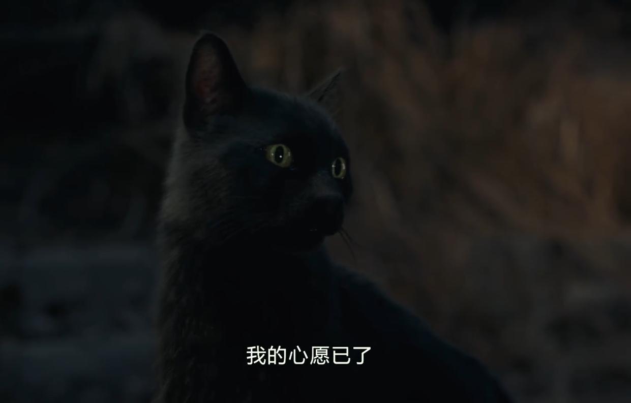 妖猫传烂吗,妖猫传评析