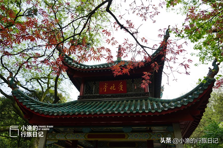 湖南长沙游玩攻略2天一晚,最新长沙游玩攻略2天一晚