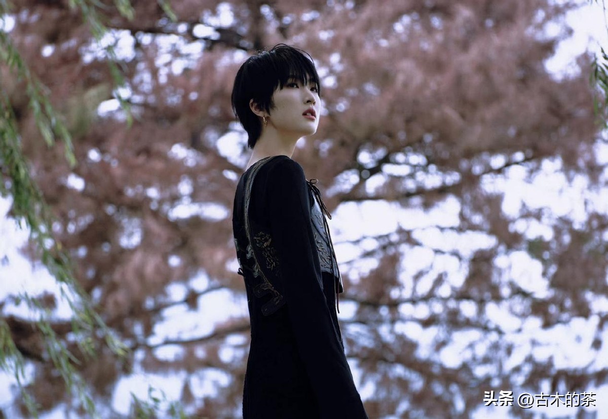 华为二公主姚安娜别墅,华为公主姚安娜现状