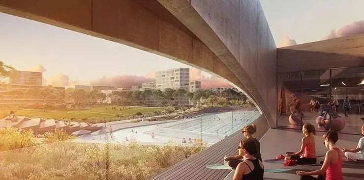 改造综合体育场,市体育馆改造建设方案