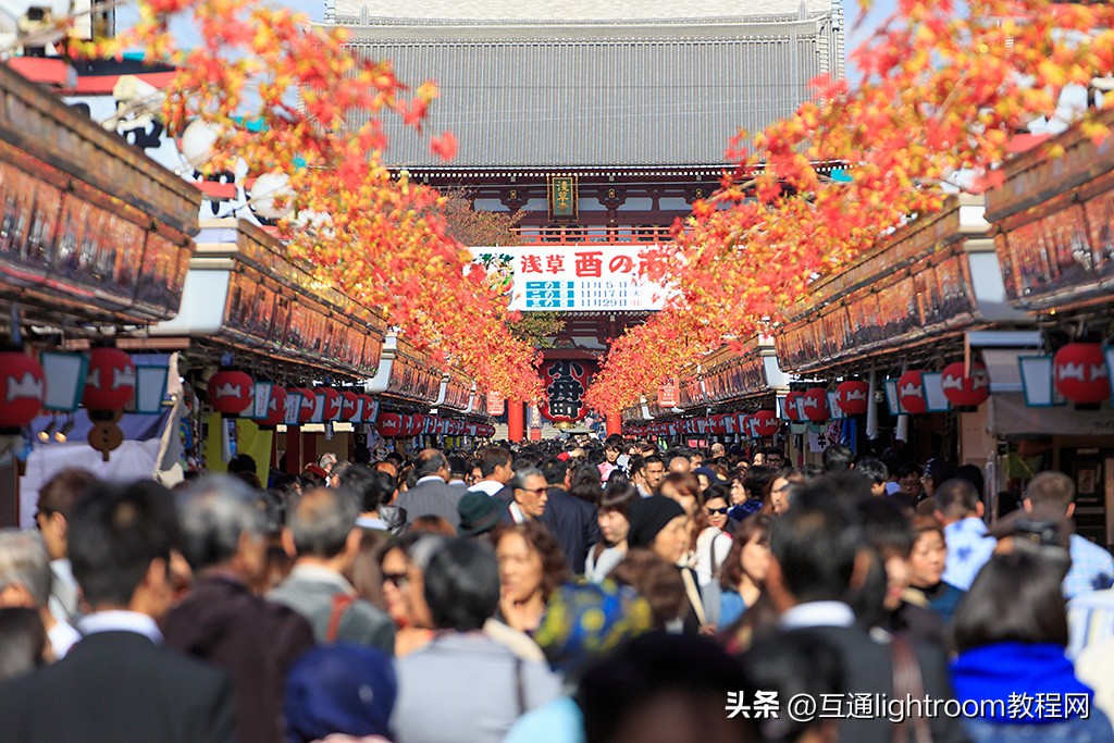 300mm还是500mm长焦镜头,入门级70-300长焦镜头推荐