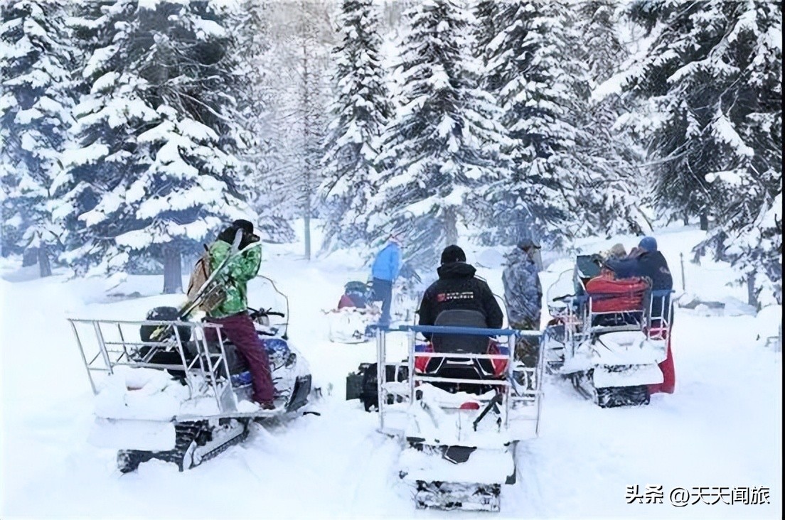 阿勒泰野雪公园滑雪攻略,新疆阿尔泰山雪野公园