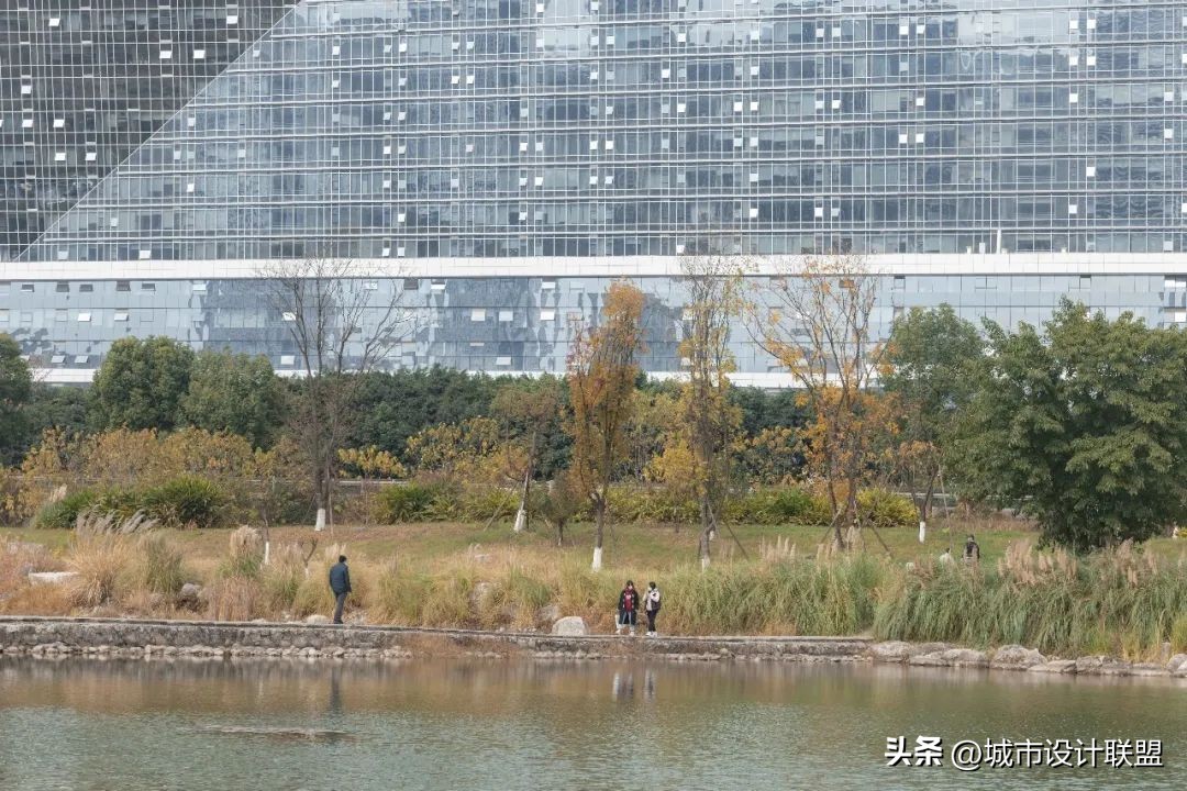 成都值得一游的公园,夏季成都宝藏公园