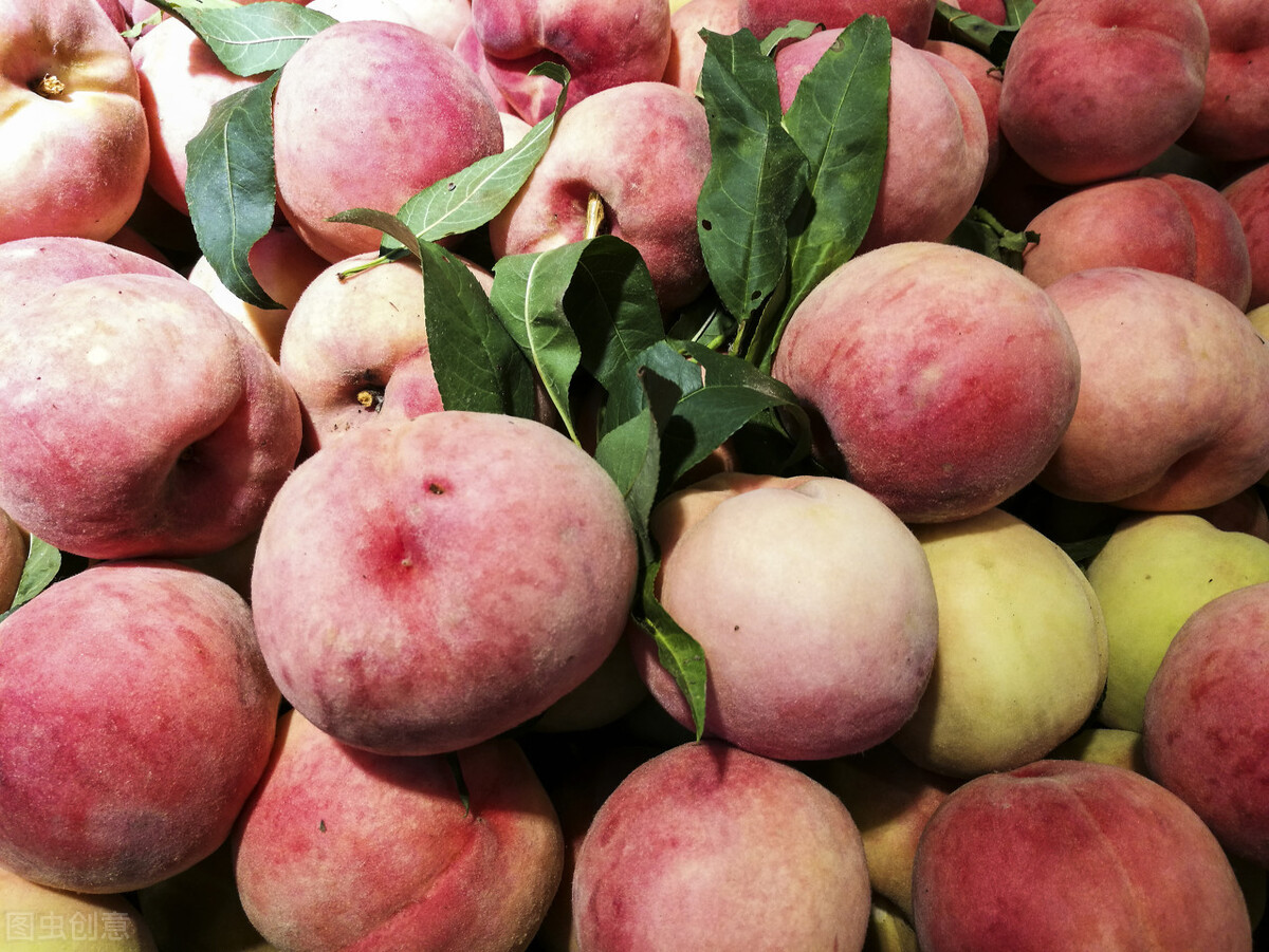 白醋和盐泡蔬菜有什么功效,盐水洗果蔬的功效