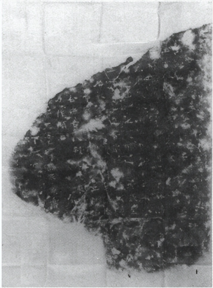 什么是礼乐射御书,御射碑