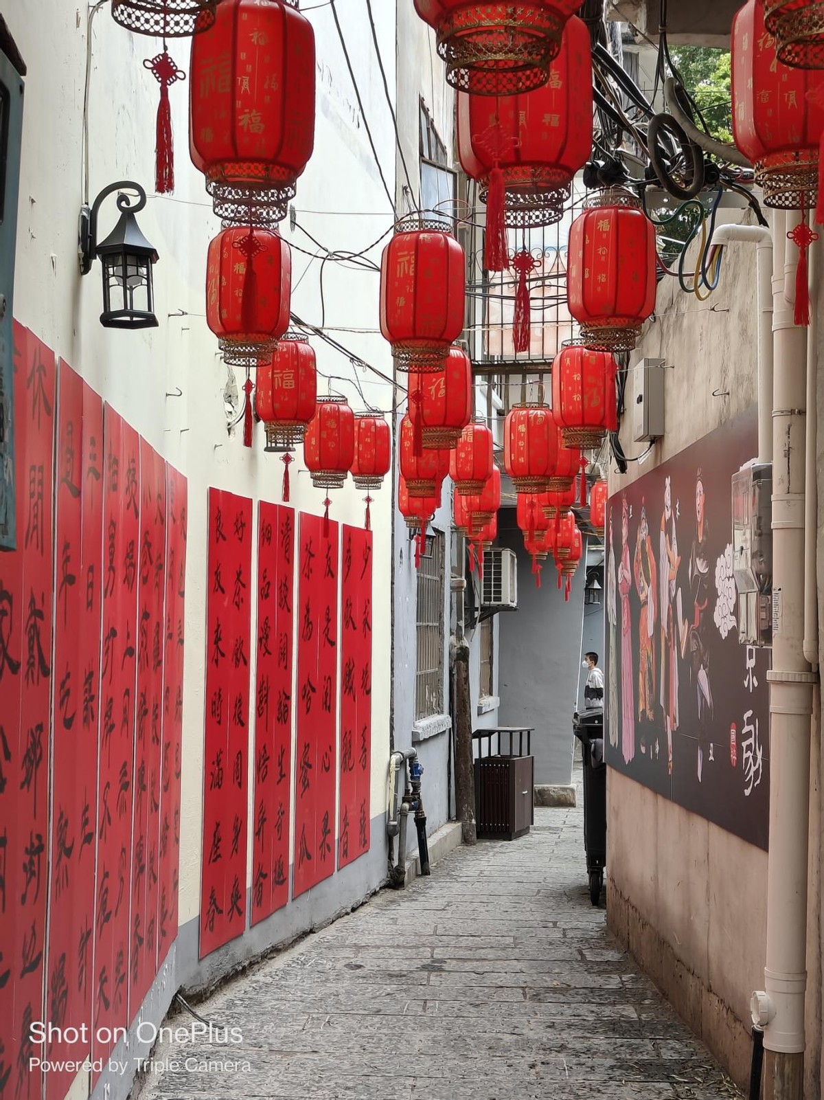 一加ace2对比iphone14promax,一加ace2pro和苹果14promax拍照