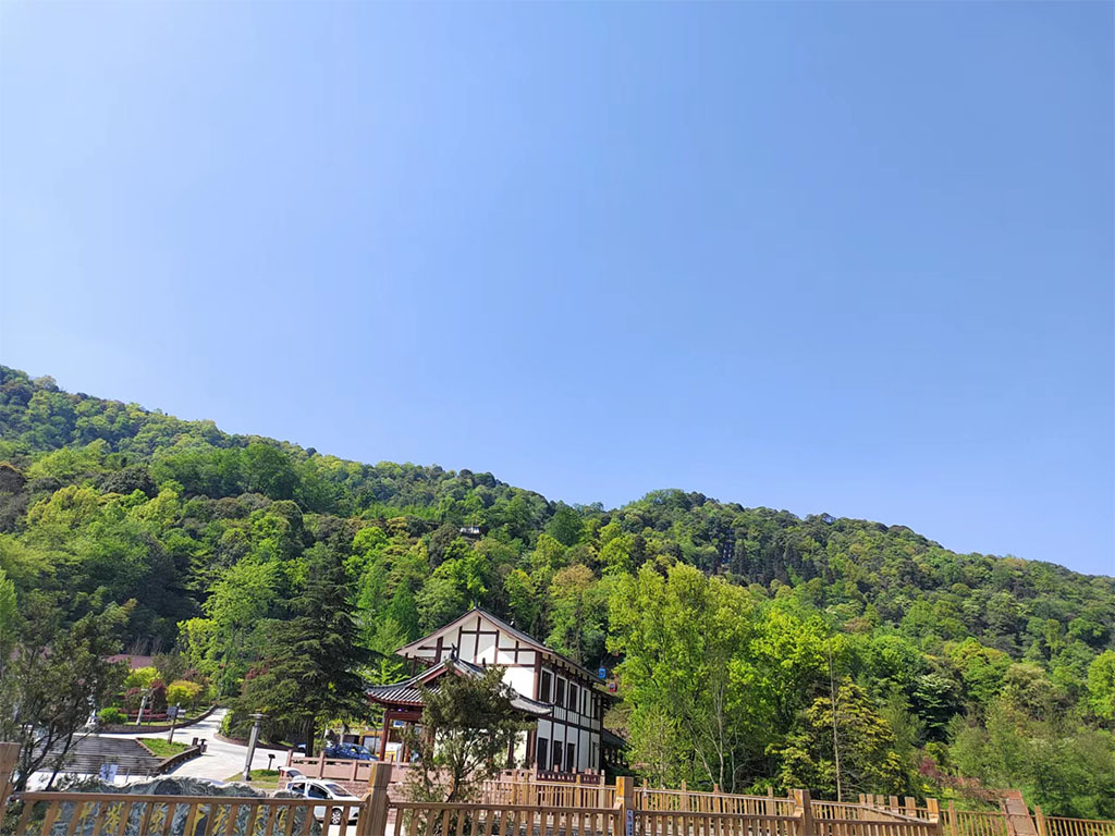 公务员考试常考易错成语口诀手册,公务员言语理解必备成语199个