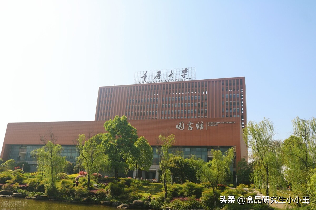 重庆和成都哪个是西南中心城市,成都和重庆城市布局的区别