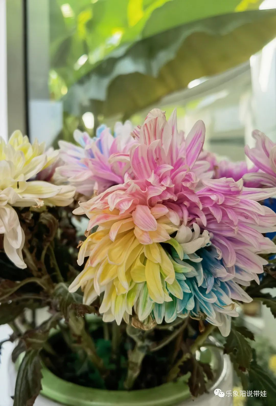 时间都去哪儿了小品完整版,时间都去哪儿了感悟