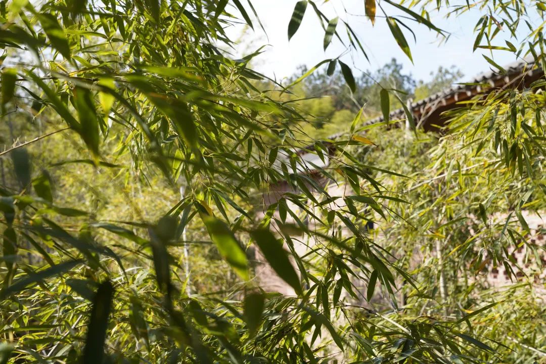 适合春天去的美宿,湖景美宿推荐