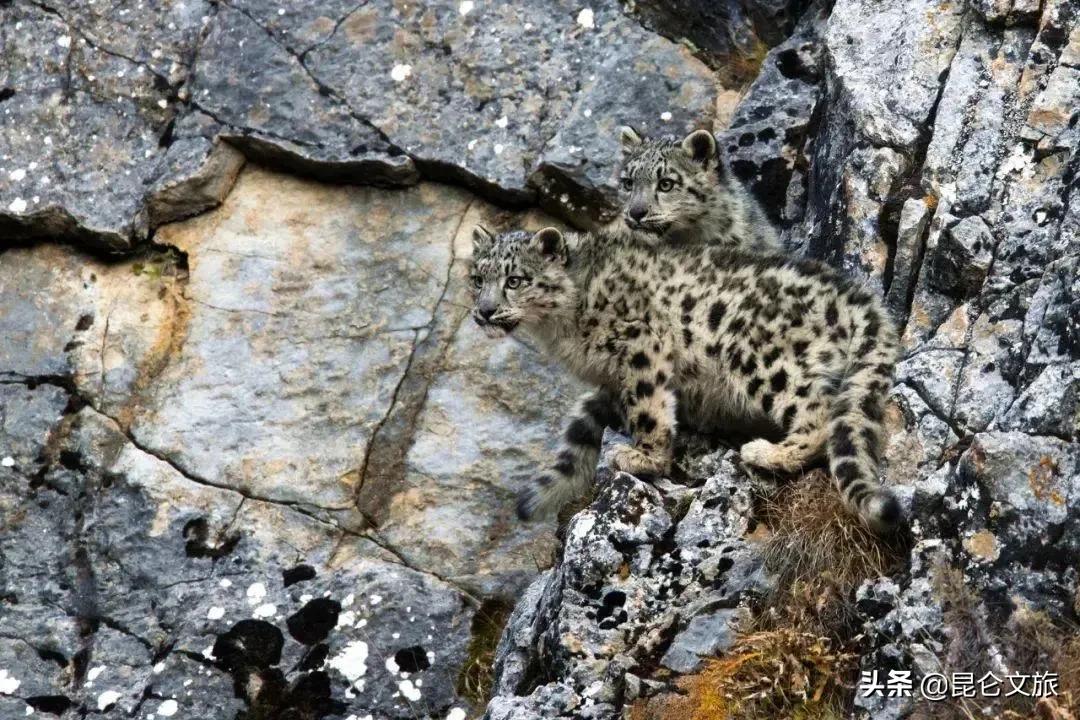 大美青海生态旅游推荐,大美青海美景短视频