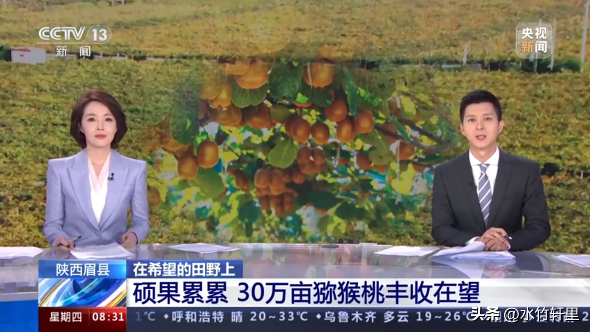 猕猴桃蒸熟了吃好吗,猕猴桃滞销了怎么办