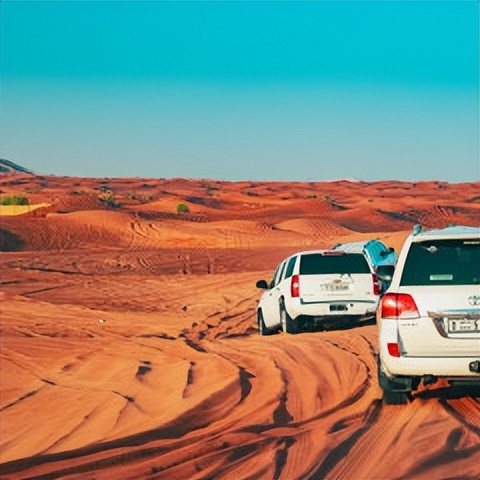 去迪拜旅游自由行攻略,迪拜自由行攻略大全