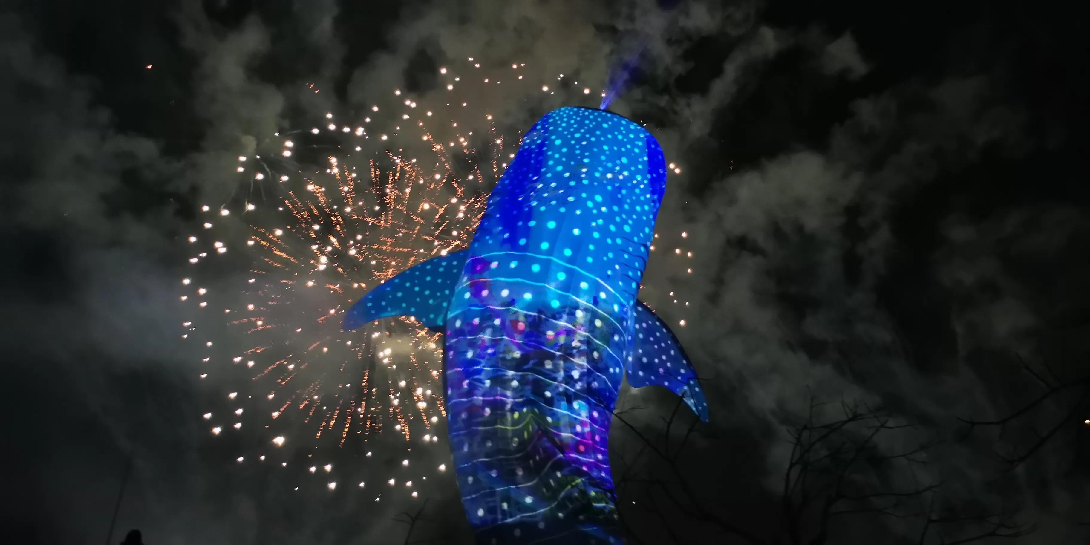 长隆套票二天一晚攻略,广州长隆最全游玩攻略