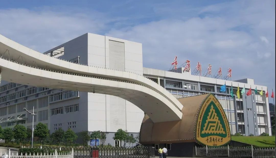 重庆大学、重邮2022计算机考研录取数据