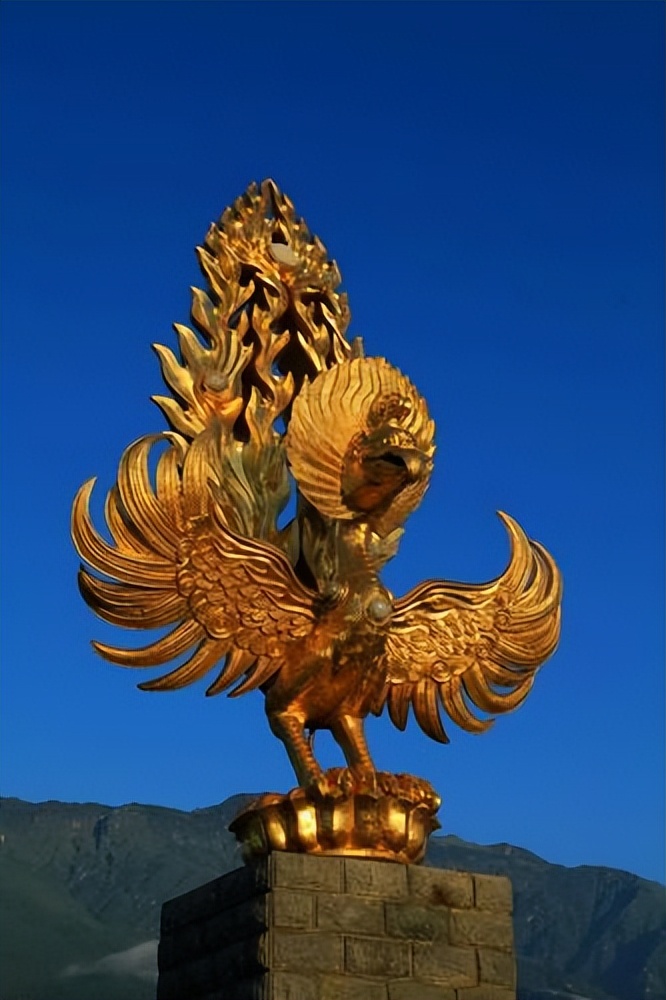 《金翅雀》内容赏析,金翅雀的描述