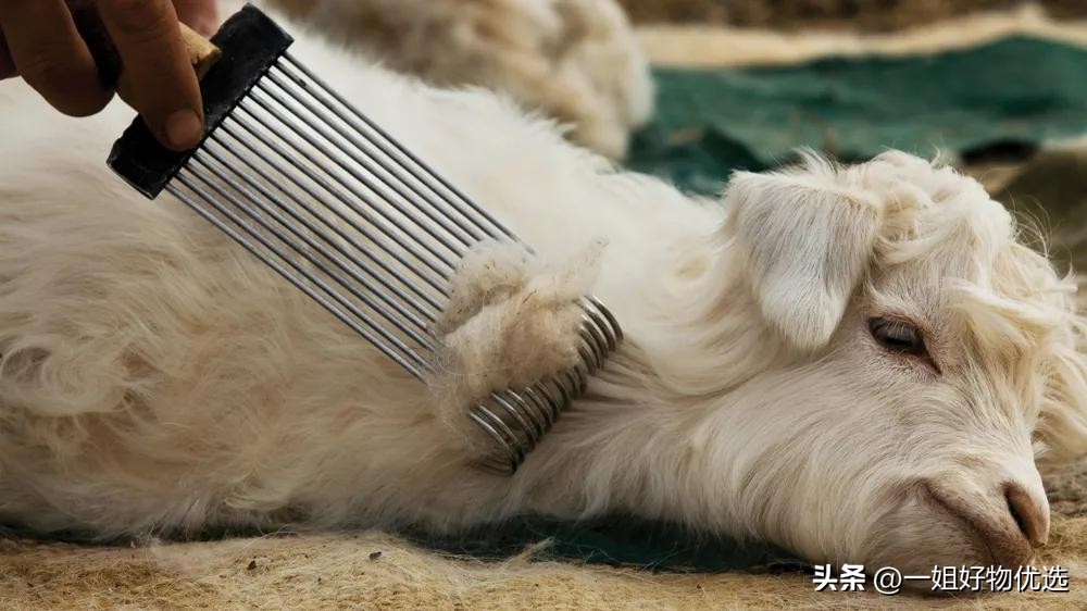 围巾男士推荐,围巾男款冬季新款