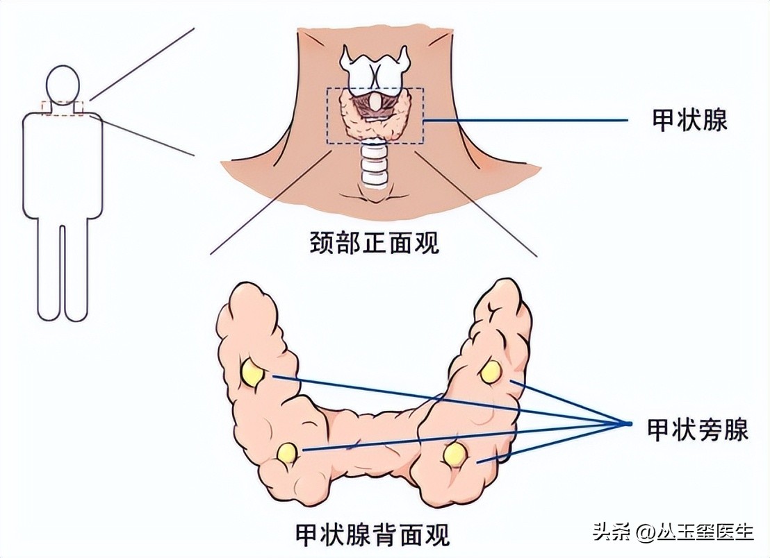 早期慢性肾脏病患者的自我防护,慢性肾脏病3期治疗药物