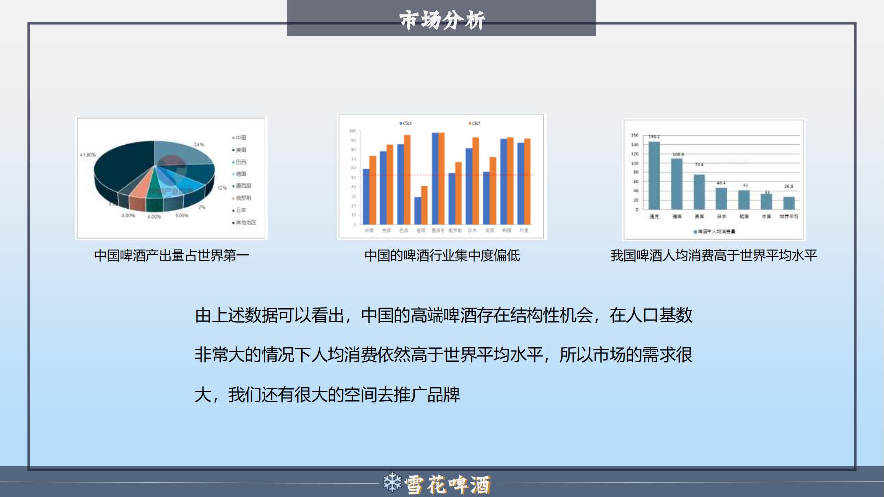 雪花啤酒品牌策划方案范文ppt,品牌啤酒的营销策划书