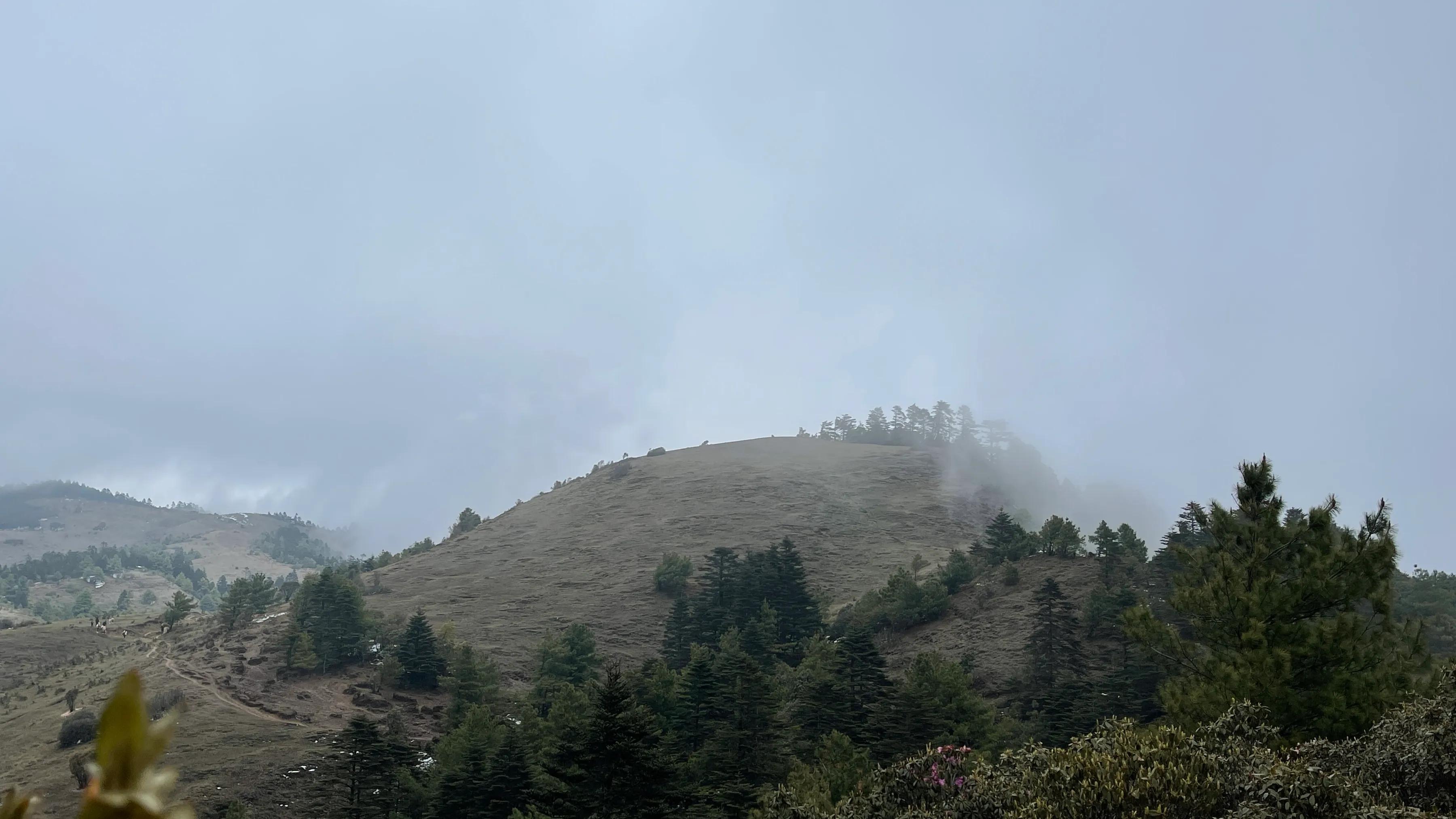 赶赴百草岭迎接夏天