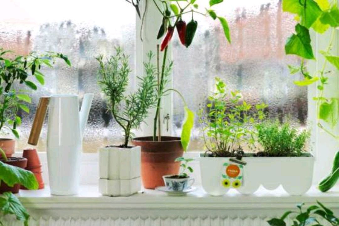 招财摆设应放在屋里哪个方向旺财,西北方位放什么招财摆件好