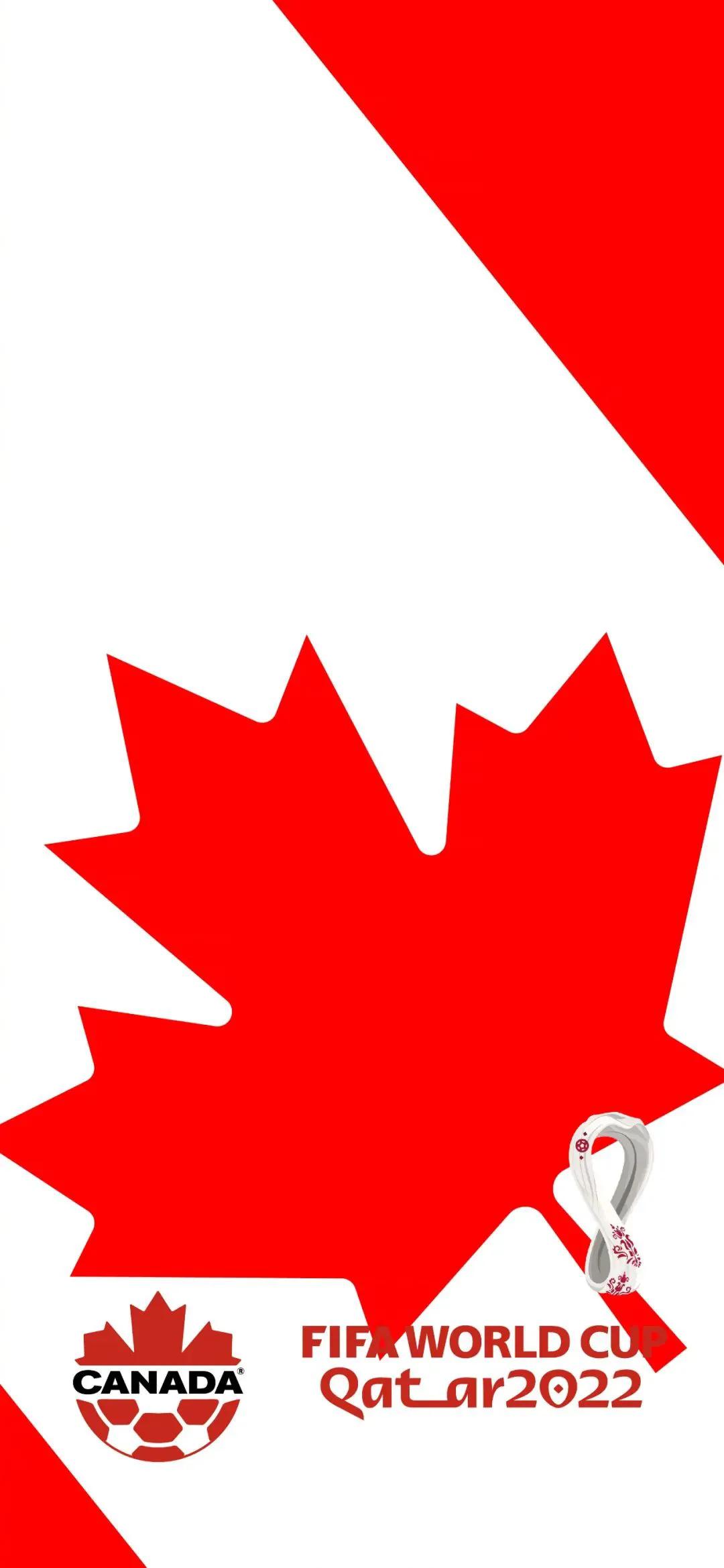 手机壁纸世界杯,卡塔尔世界杯球队壁纸