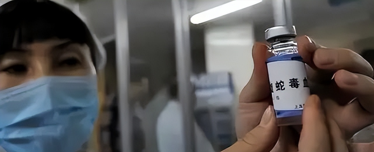 中国蛇毒女王是谁,广西蛇毒王事件