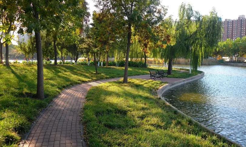 天津周边可生火的露营地,私藏天津小众露营地