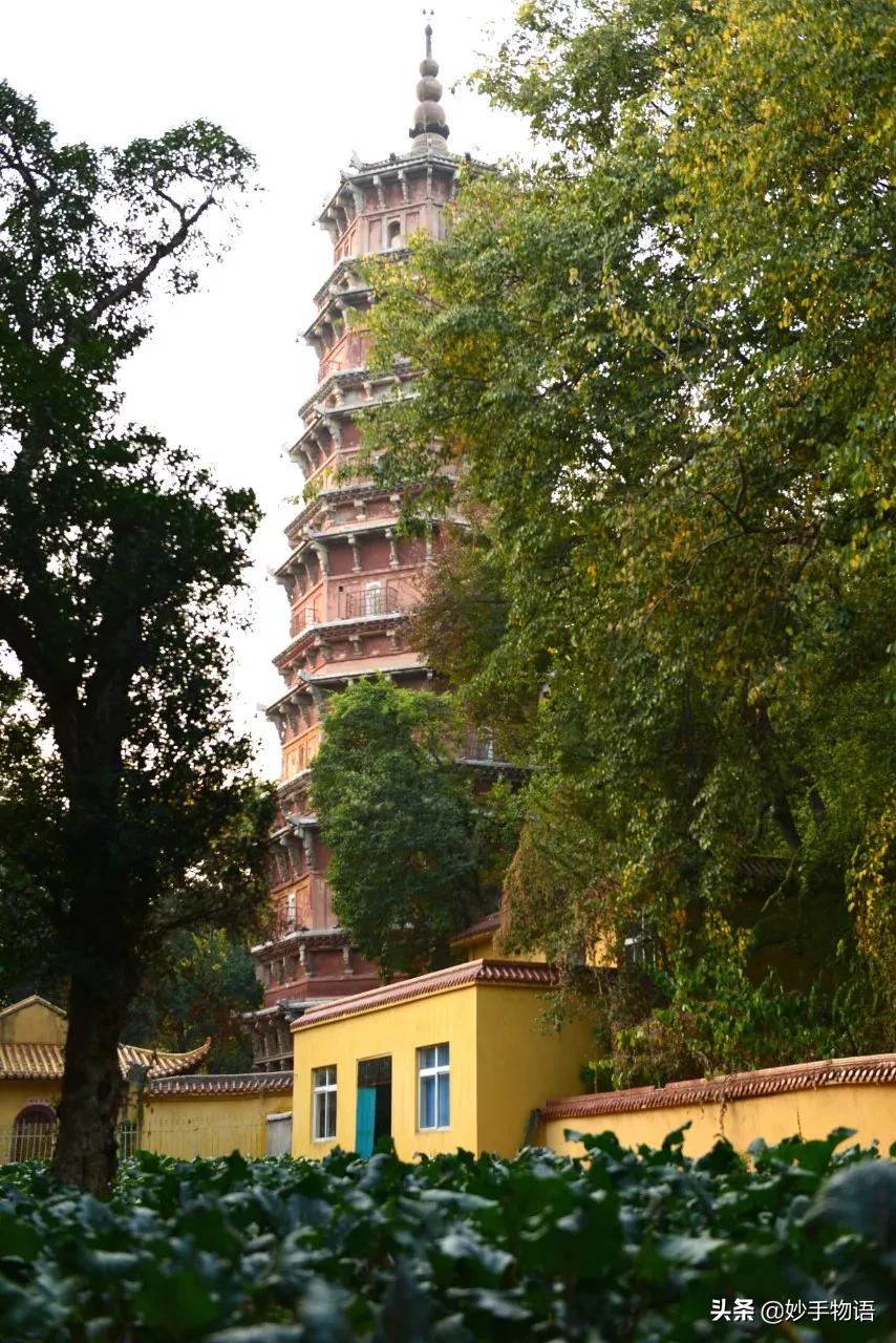 中国十大传统名菜大全,中国菜八大菜系十大名菜