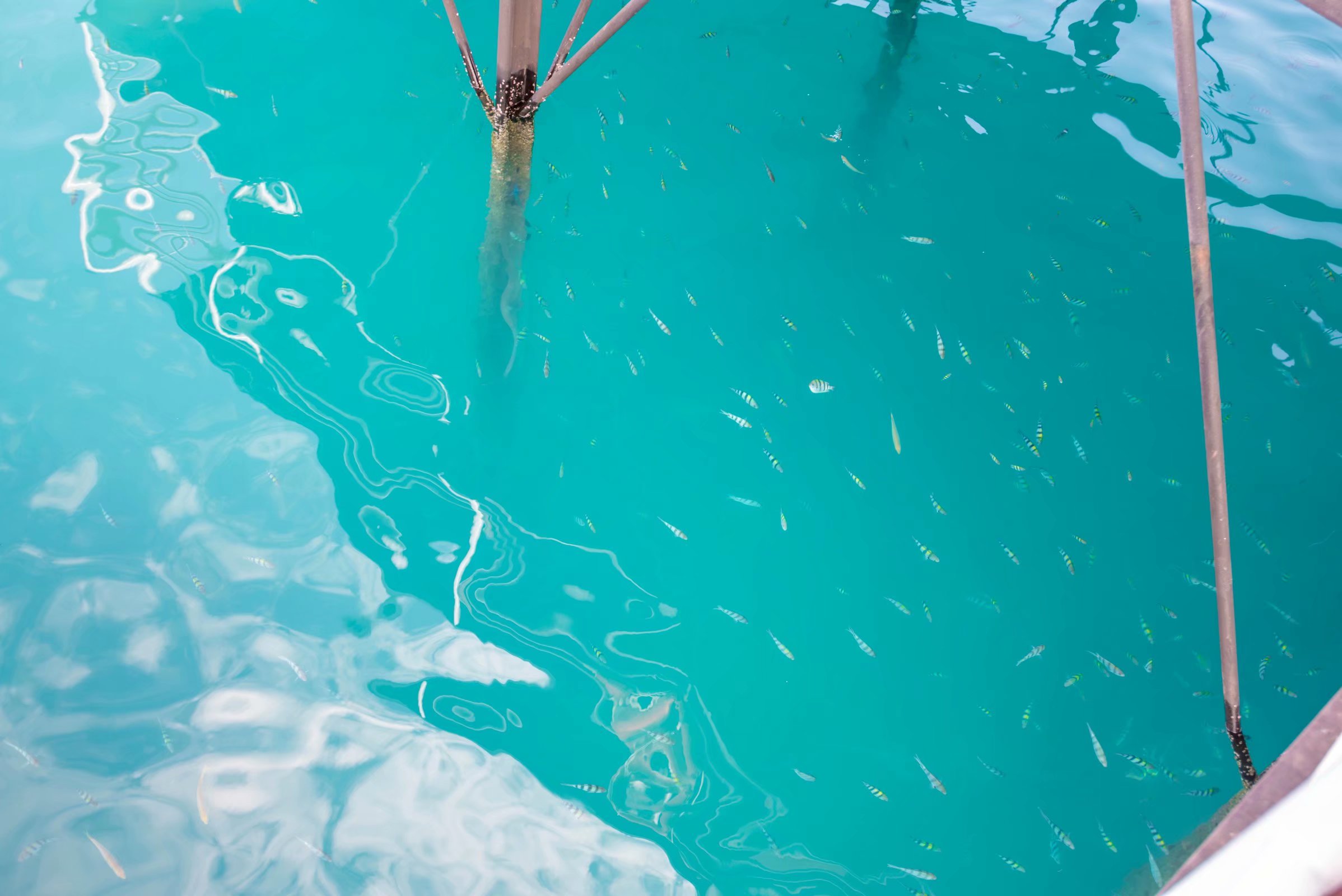 泰国三亚旅游对比,三亚和泰国旅游选择哪里