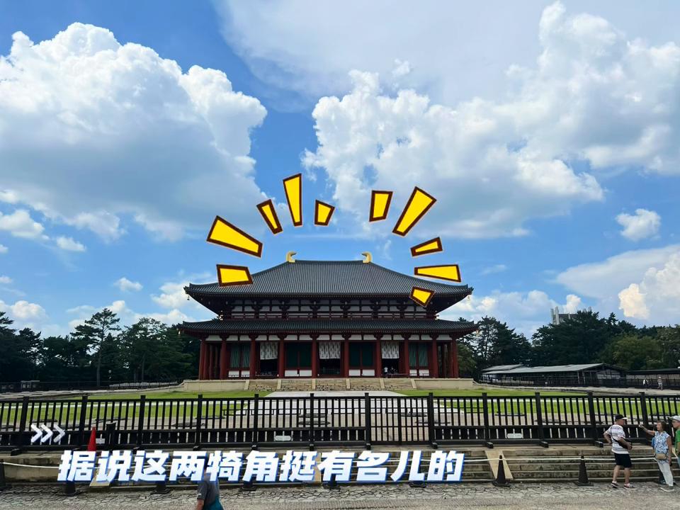 奈良看鹿浅草寺,奈良看鹿