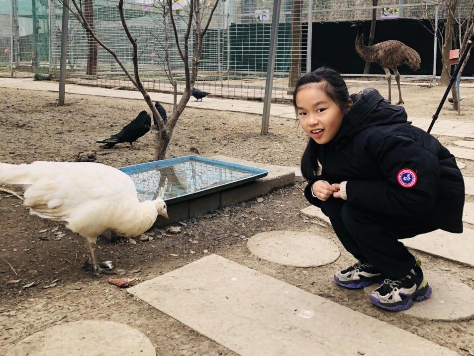 江苏大型儿童成长节目剪刀石头布,小鸭嘎嘎儿歌石头剪刀布早教0-3岁