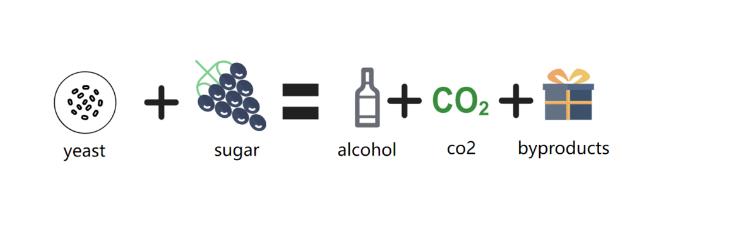 如何用酒葡萄制作葡萄酒,制作葡萄酒的全部过程