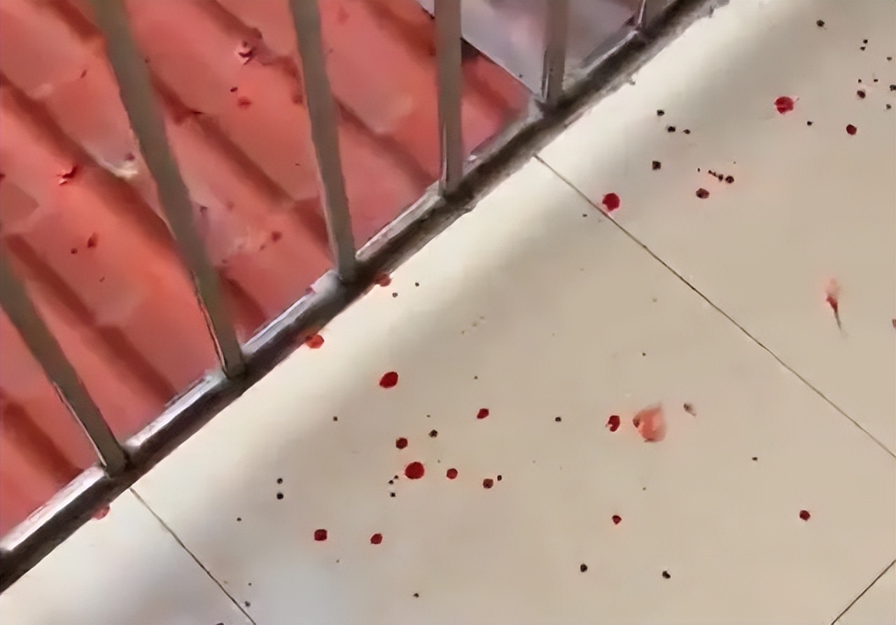 男子杀害前妻后本想*焚自**，结果烧到裆部受不了，跳进水中成功自救