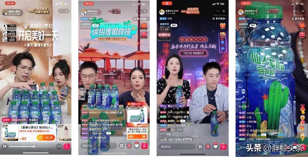 仙人掌味脉动讲解,仙人掌味的脉动原版