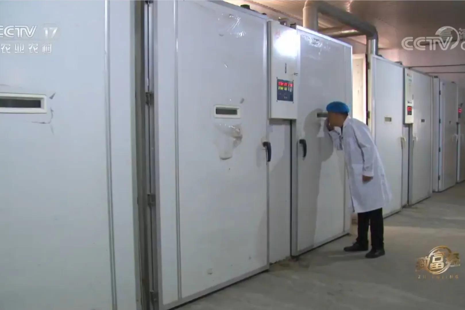 一小伙承包荒山搞养殖年挣百万,河北小伙种100亩地一年赚多少钱