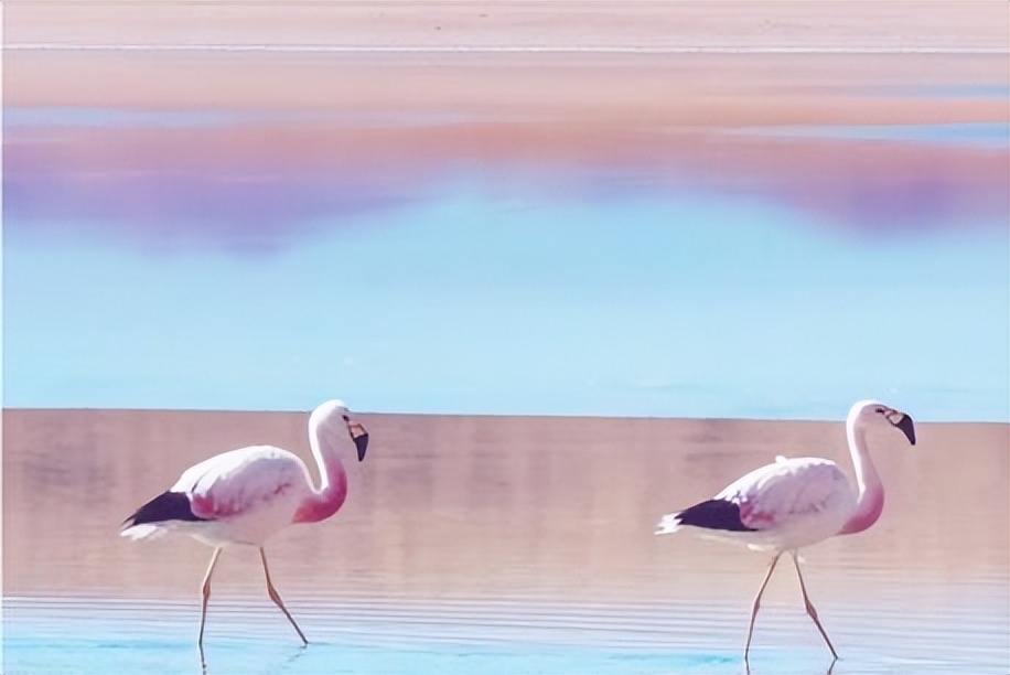 人生怎样活才合适,人生怎么才能活好自己