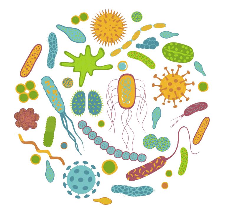 衣原体感染的症状和治疗方法,衣原体感染治疗为什么总是阳性