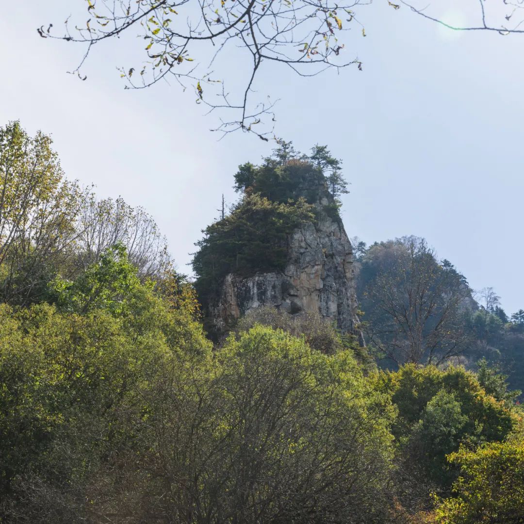 登太白山感受,太白山景区登顶拔仙台
