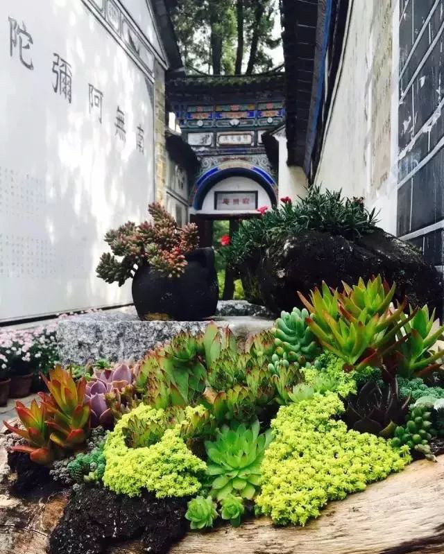 大理打卡的拍照圣地,大理旅游打卡攻略一日游推荐