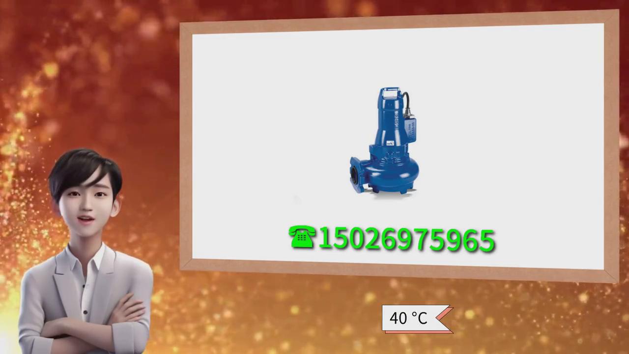 上海凯士比泵型号样本,浙江凯士比导热油泵