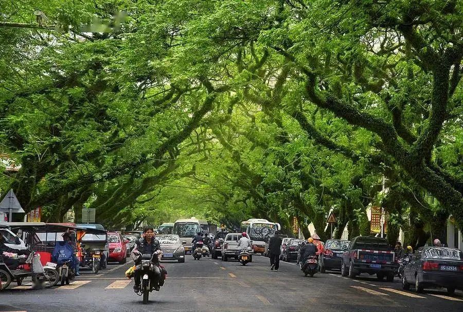 海南晴天的沙滩,海南阳光下的海