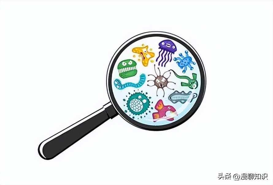 马传染病的传播,马传染性子宫炎