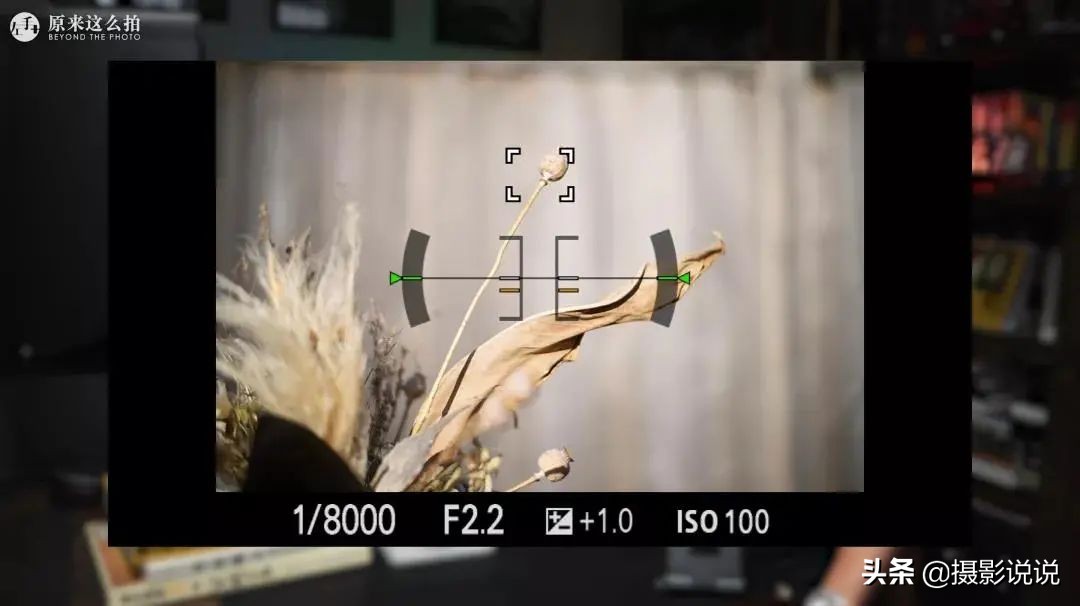 张千里推荐镜头,张千里视频直播