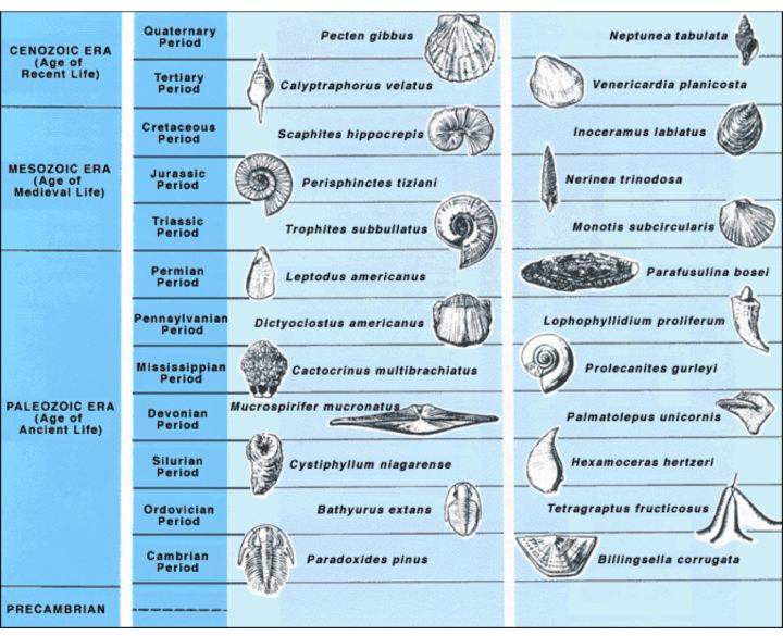 地质年代的划分表格,地质年代的划分依据是什么