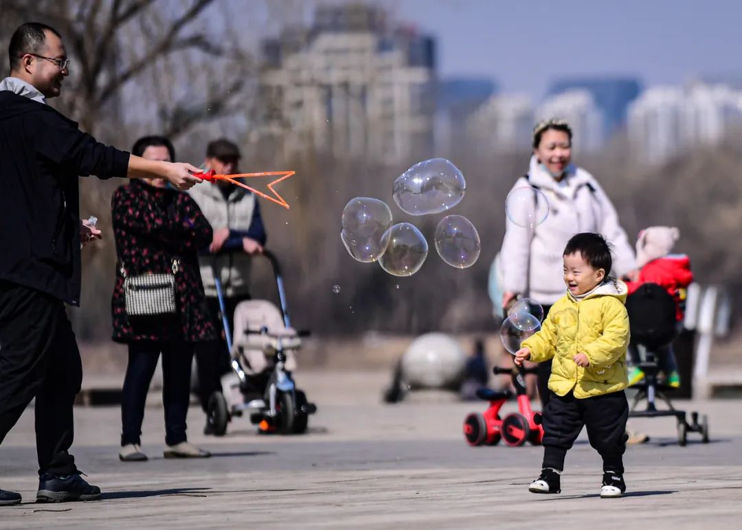 沈阳最近郊游最佳地点,沈阳湿地公园丹顶鹤放飞