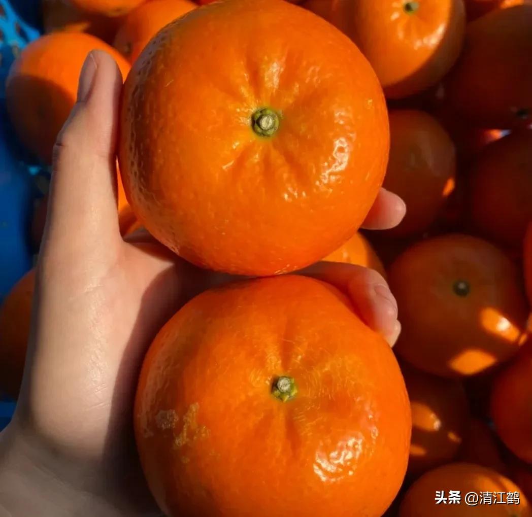 920使用方法哪些作物能用,920和什么混用效果好