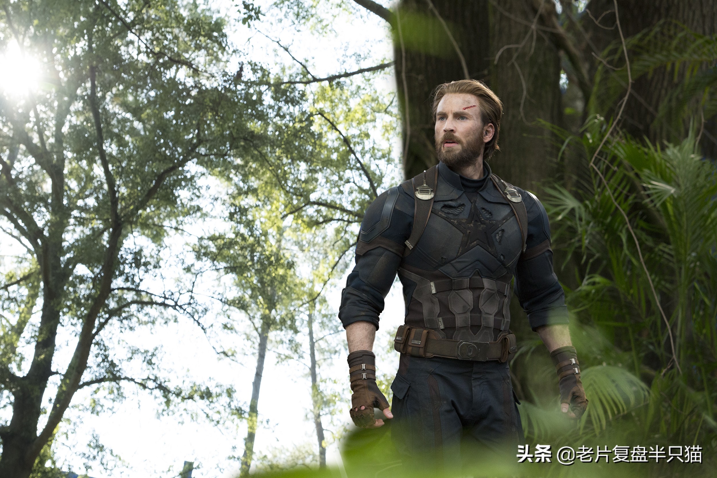 美国队长在冰封70年都干了些什么,美国队长一生的故事