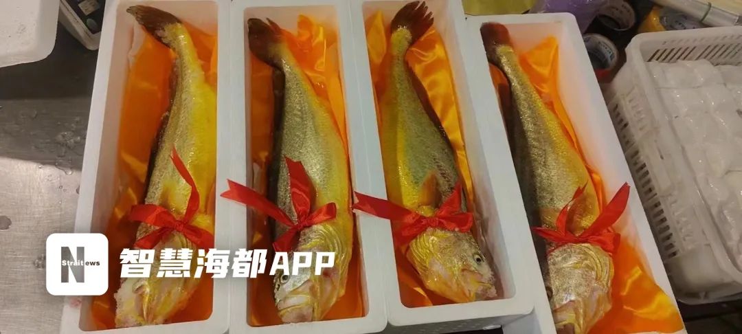 定了！马上开始！