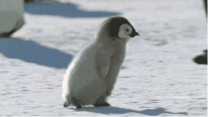 南方人的取暖难题,南北方人取暖的差异